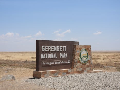 Luxury Safari Lodges in Serengeti Tanzania